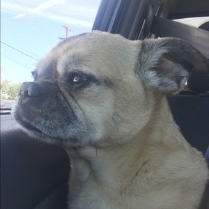 Meet your Posher, Gilda